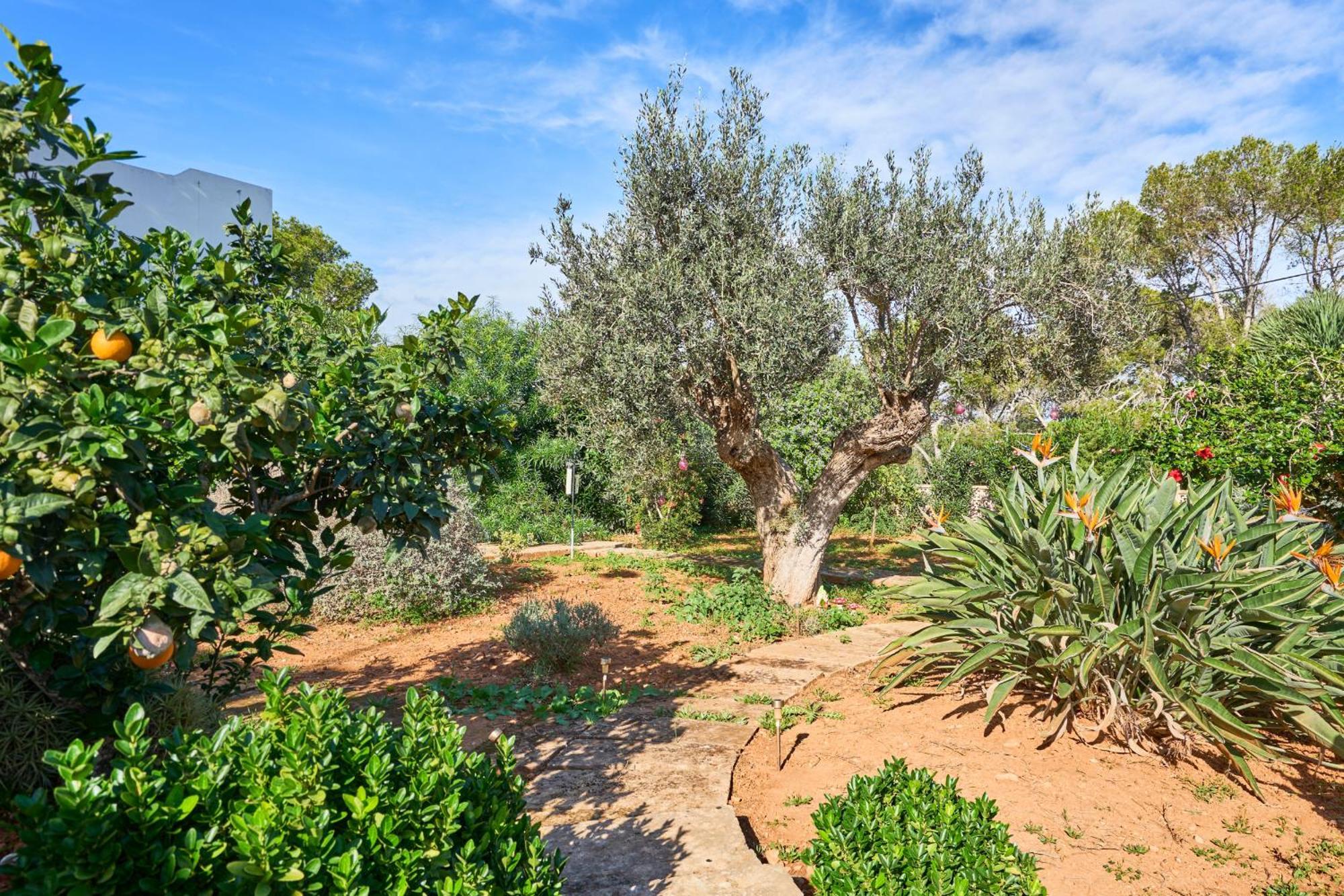 Villa S´Aguila Santanyí Esterno foto